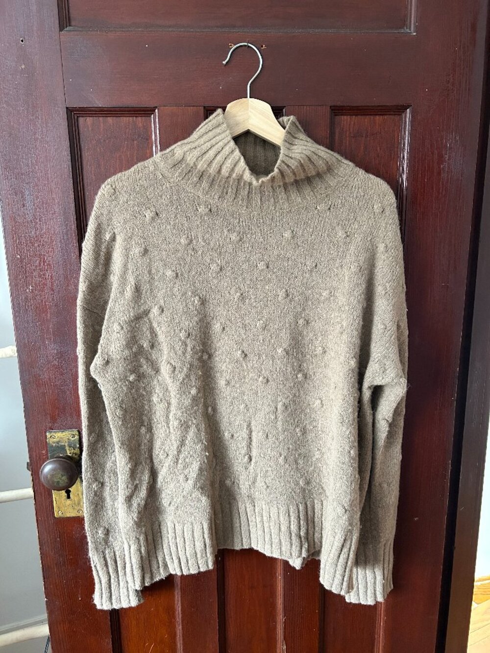 Everlane Alpaca Wool Turtleneck - Small